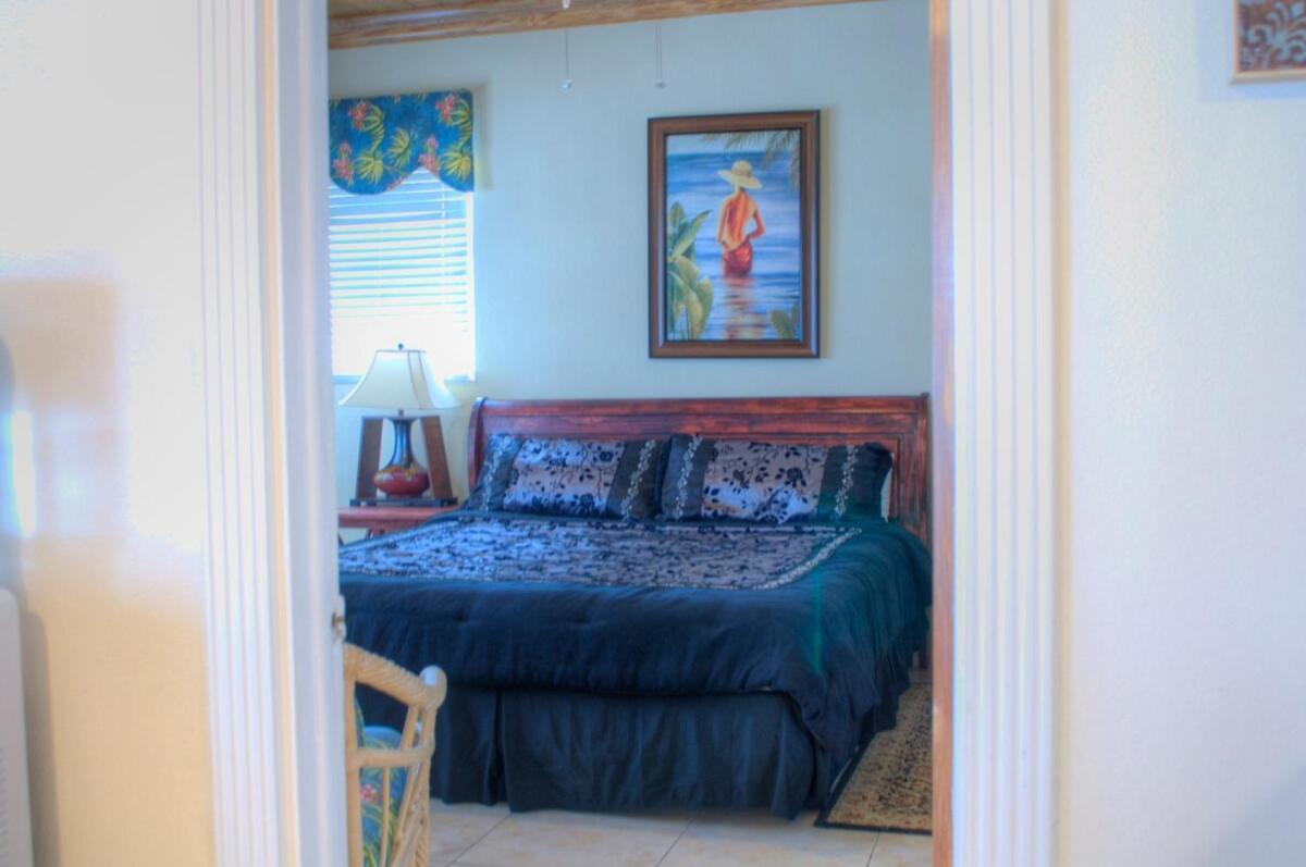 Oceanfront 35 Steps Into The Sea! Private Pool! Just Bring Snorkel Gear! Holiday home *